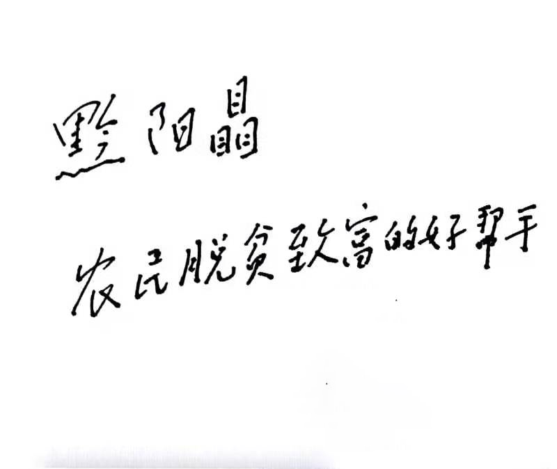 洪江市禹甜科技有限公司,黔陽瞐農(nóng)產(chǎn)品的批發(fā)零售